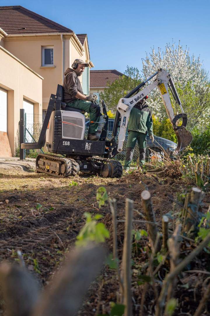 Des élagueurs professionnels à votre service à Noisy-le-Grand